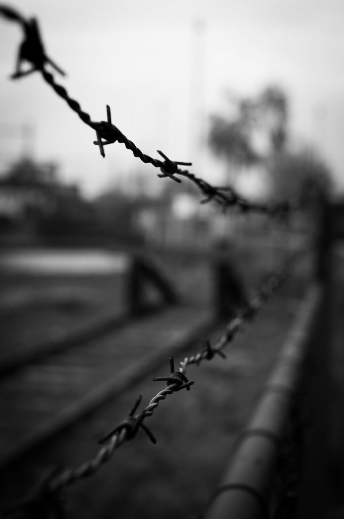 barbwire, barbed wire, wire-384638.jpg